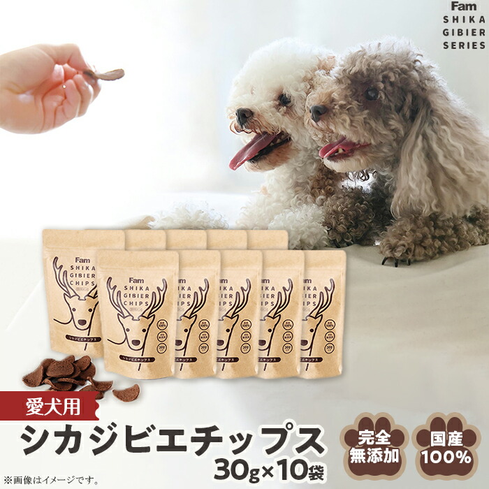 【ふるさと納税】ペットフード ドッグフード ペット 無添加 健康 応援 おやつ 低アレルゲン 高タンパク 鉄分 低脂質 低カロリー 鹿肉 国産 小分け 犬 ジビエ チップス30g×10袋入り「Famシカジビエチップス」国産無添加の犬用おやつ ドッグフード(間食用)