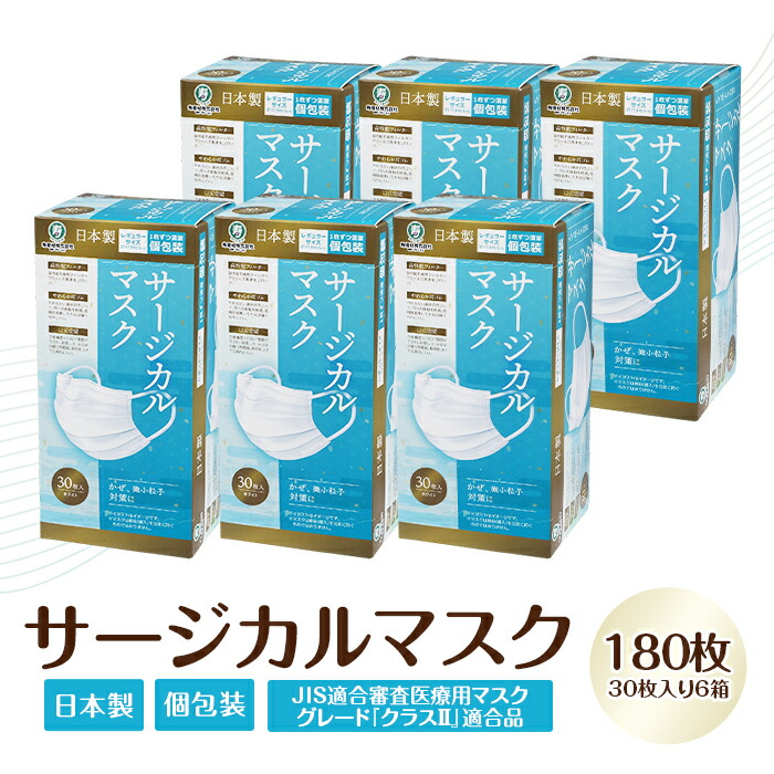 【ふるさと納税】恍ける 不織布 立体 レギュラー大きさ ふつう 個荷造り 日装置 国産 日本製 やわらか 耳吊りひも 高役立つこと 水漉し 口元あき場所 不織布恍ける 使い捨て 疲労困憊品 国内産 恍ける サージカルマスク 30枚入 6個書き割り 計 180枚 50-05