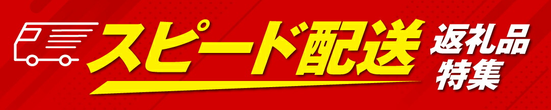 スピード配送返礼品特集はこちら