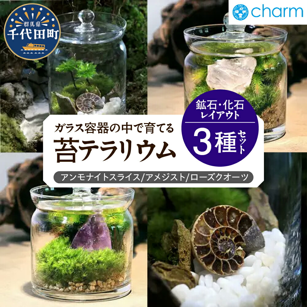 ＼千代田でカンパリア犬／父の日特集
