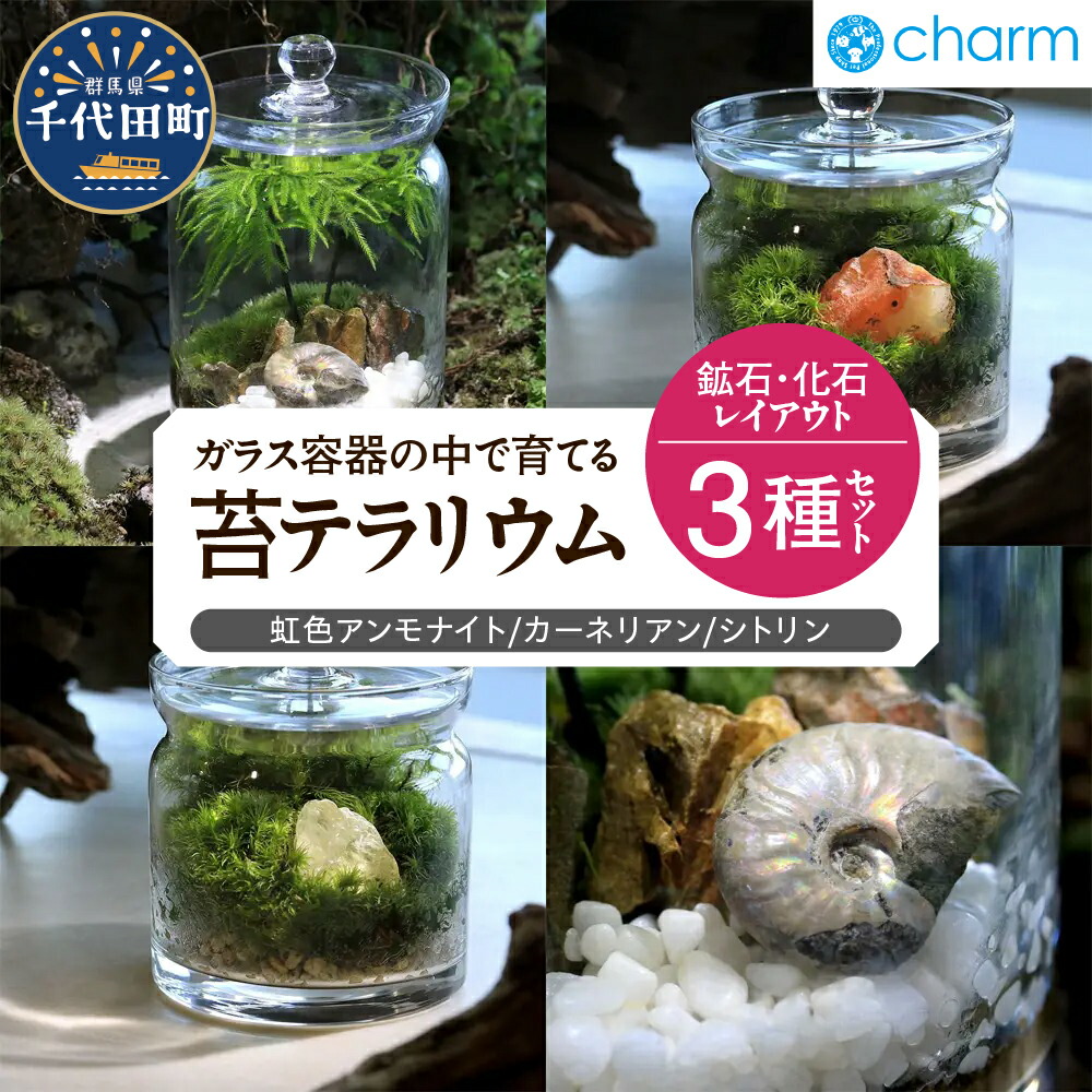 【ふるさと納税】苔テラリウム 鉱石 化石 レイアウト 3種セット 虹色アンモナイト カーネリアン シトリン 群馬県千代田町 インテリア ナチュラル 植物 リラクゼーション 室内栽培 プレゼント ギフト 贈答用 送料無料 趣味 人気 オススメ 初心者 玄関 株式会社チャーム 16,280円