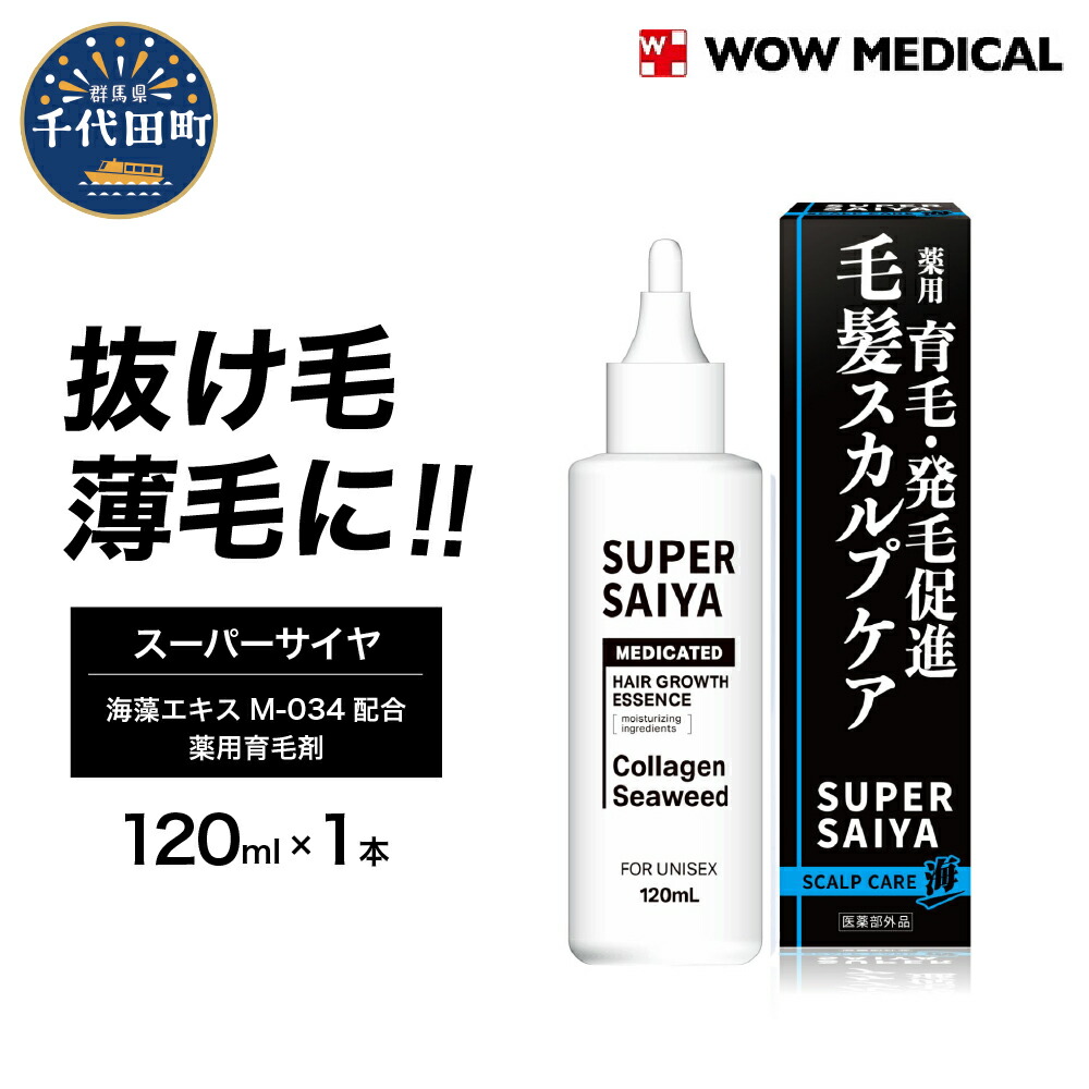 ＼千代田でカンパリア犬／父の日特集