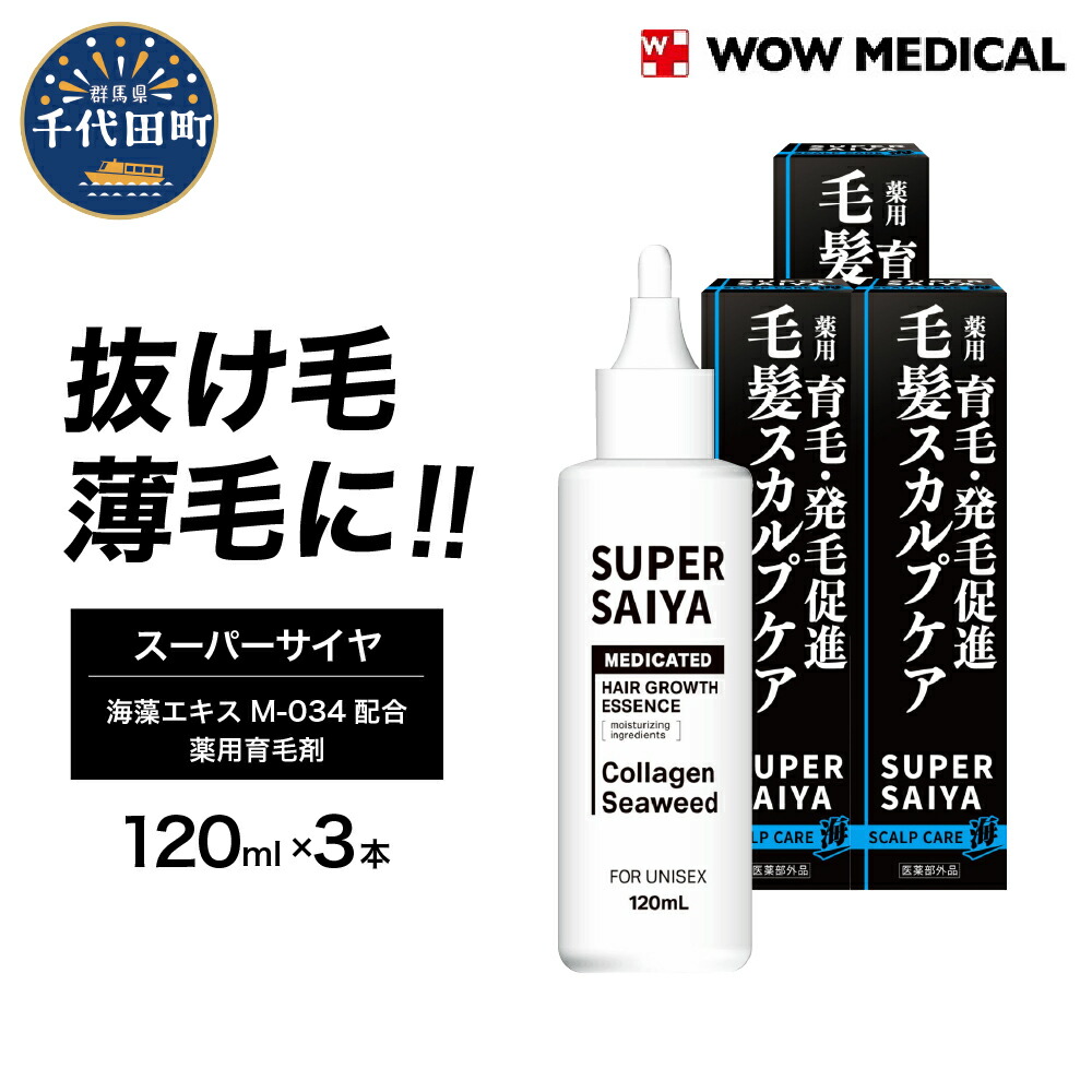 ＼千代田でカンパリア犬／父の日特集
