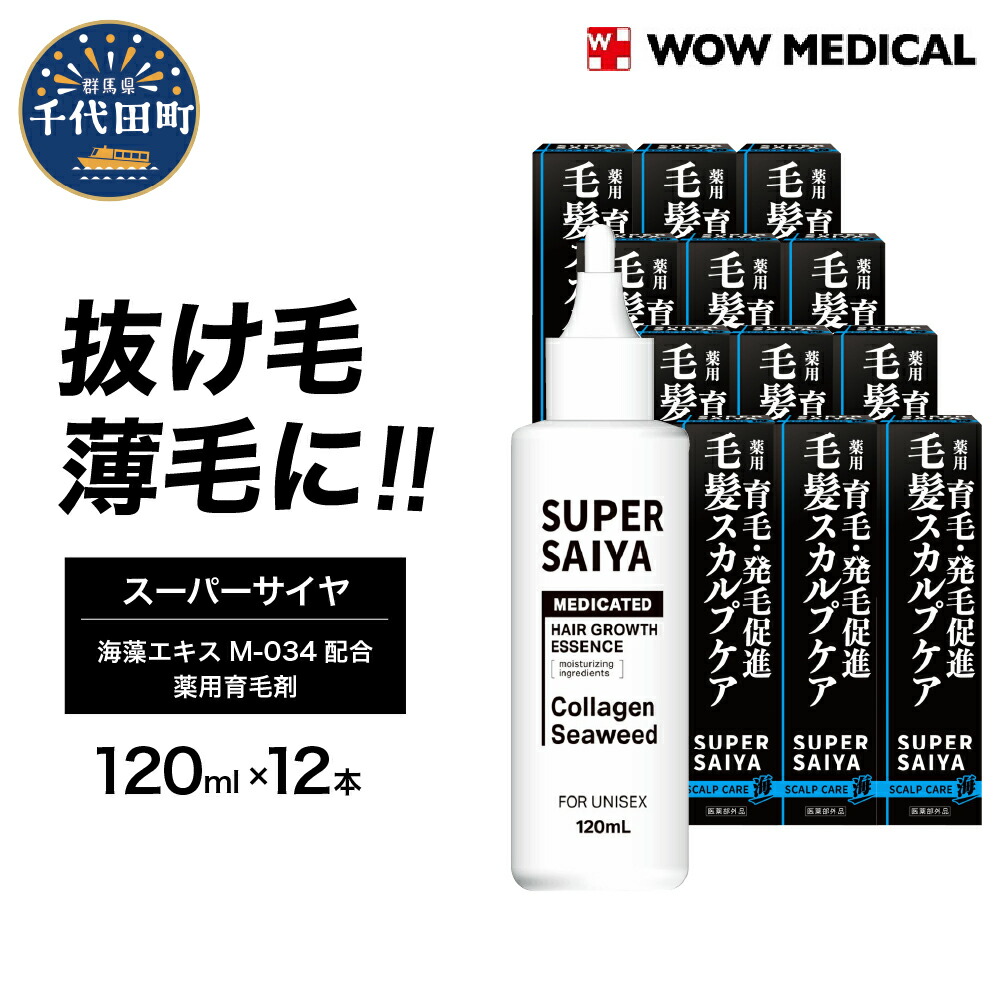 ＼千代田でカンパリア犬／父の日特集