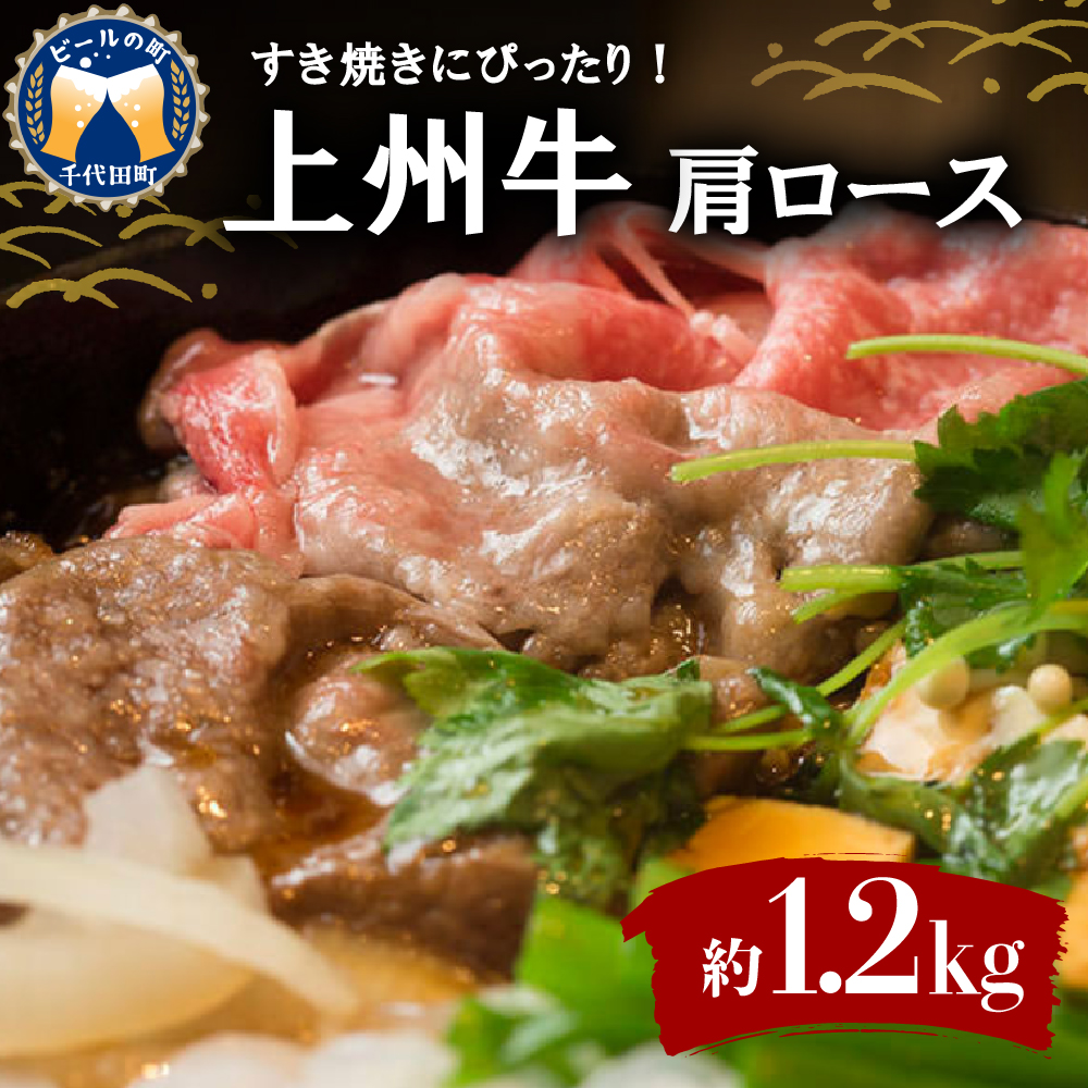 買取 群馬 赤城山麓牛 肩ロース焼肉用 500g Riosmauricio Com