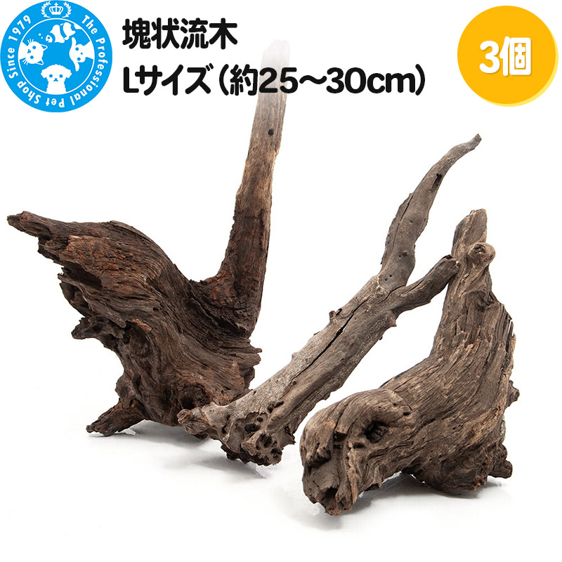 【ふるさと納税】塊状流木 Lサイズ（約25～30cm）3個｜群馬県邑楽町