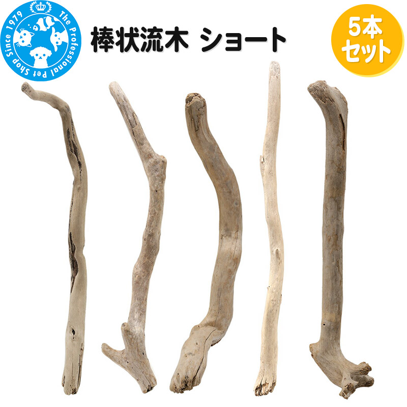 【ふるさと納税】棒状流木 ショート 5本セット|群馬県邑楽町