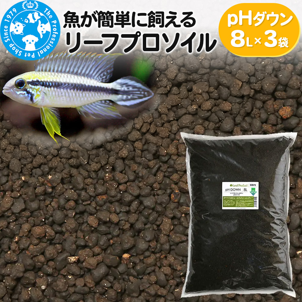 るべりえ