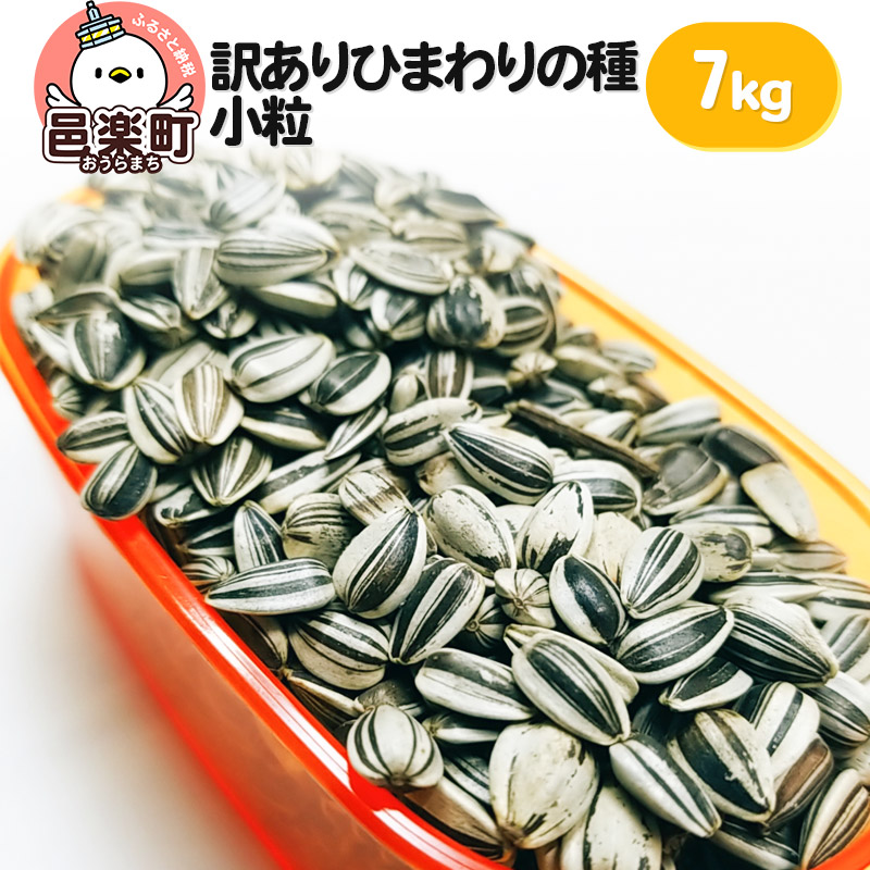 【ふるさと納税】【訳あり】ひまわりの種・小粒 7kg×1箱 ※箱詰め※ サイトウ・コーポレーション 飼料 [鳥 鳩 ハト 小鳥 インコ 文鳥 カナリア 小動物 草食 雑穀 餌 えさ エサ ペット]