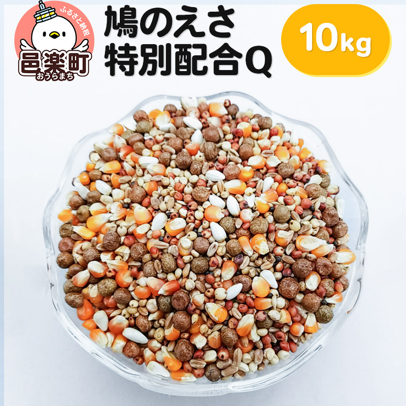 【ふるさと納税】鳩のえさ 特別配合Q 10kg×1袋 サイトウ・コーポレーション 飼料
