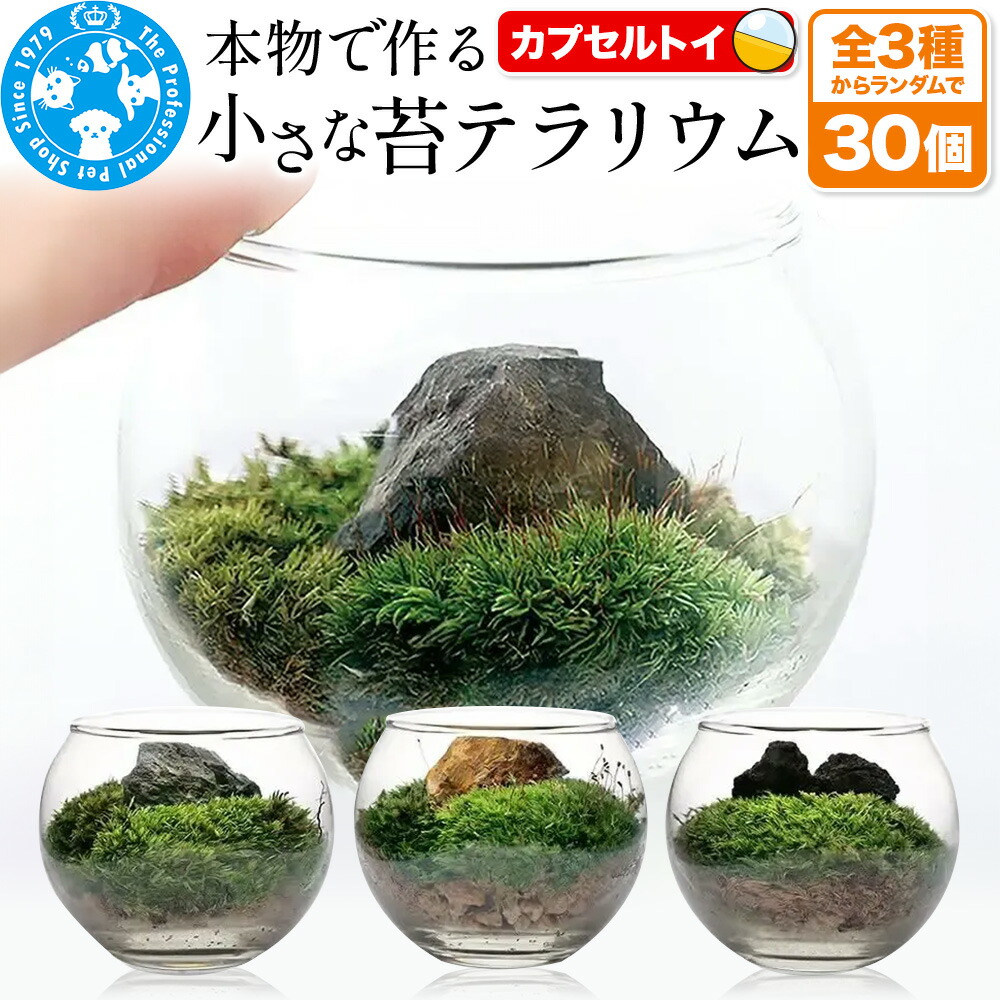 るべりえ