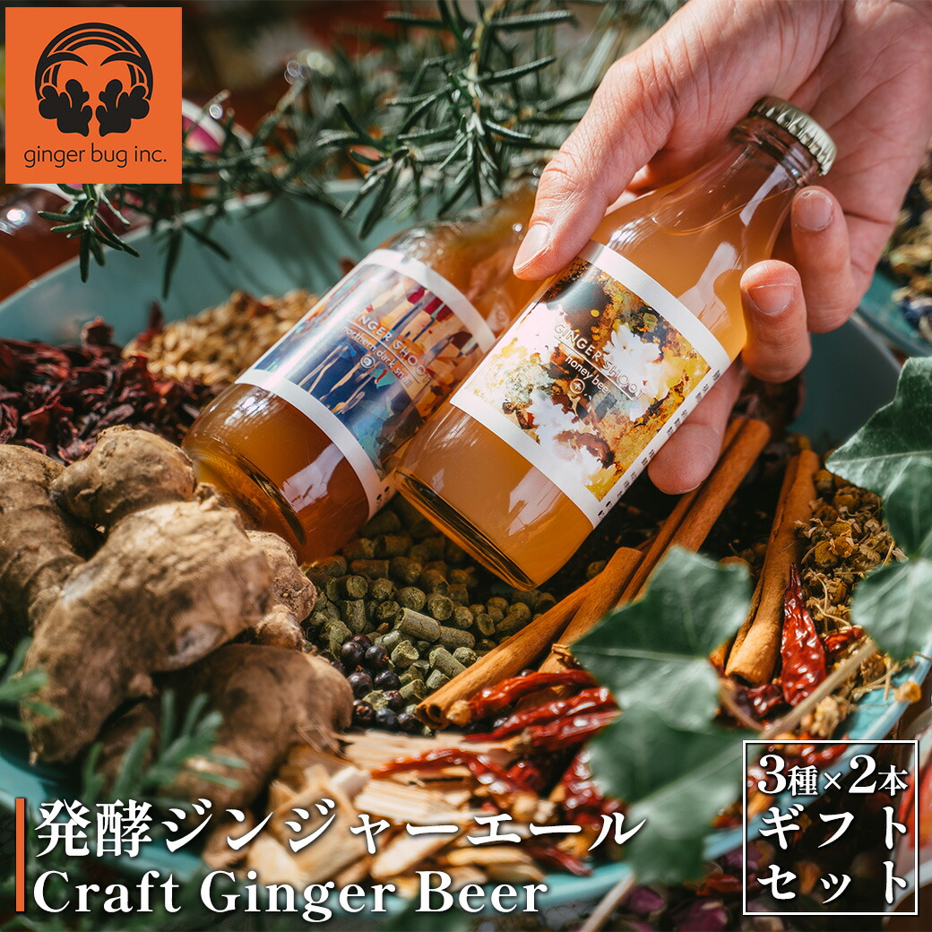 ふるさと納税 発酵ジンジャーエール 3種×4本ギフトセット 【11100-0180】 埼玉県さいたま市 : ふるなび(ふるさと納税) - 通販 -  Yahoo!ショッピング ふるさと納税 炭酸飲料 埼玉県 さいたま市 発酵ジンジャーエール 3種×4本ギフトセット 11100-0180