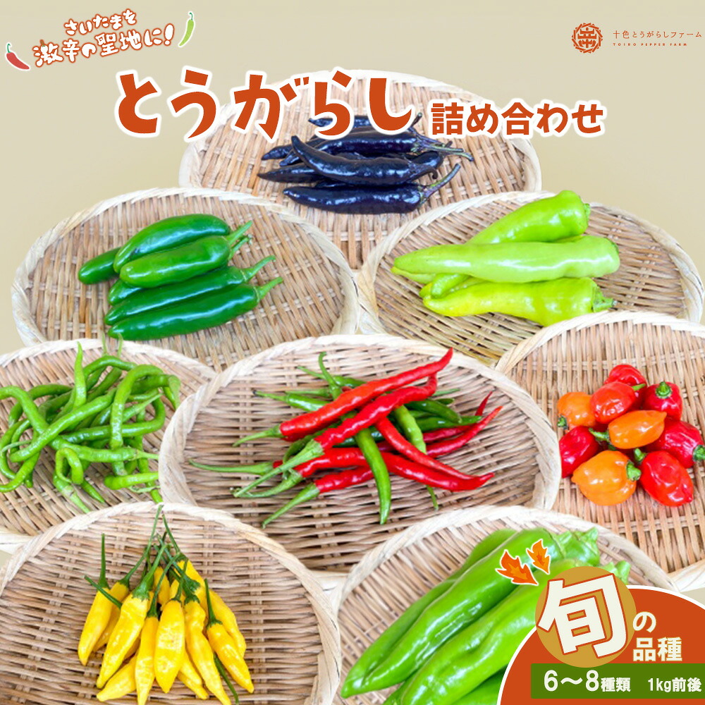 【ふるさと納税】【十色とうがらしファーム】とうがらし＜旬の品種詰合せ＞【11100-0805】 | 唐辛子 トウガラシ セット スパイス 香辛料 さいたま市 埼玉県 送料無料 ギフト プレゼント｜埼玉県さいたま市