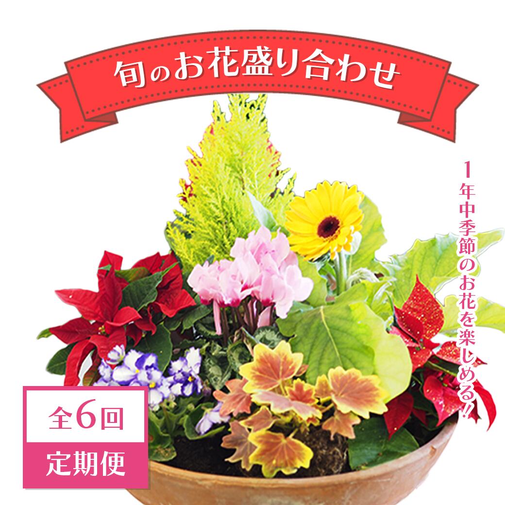 【ふるさと納税】【定期便】【全6回定期便】1年中時期のお花が楽しめる！旬のおまっ盛り合わせ（2か月に1回お届け）【11100-0735】