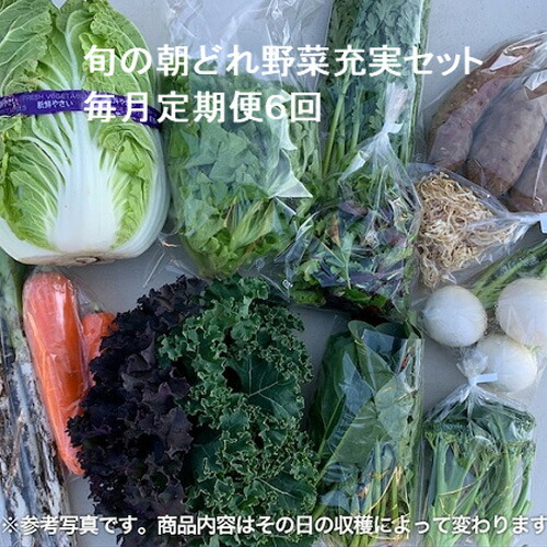 【ふるさと納税】旬の朝どれ野菜充実セット×6回 ／ やさい 朝採れ 埼玉県