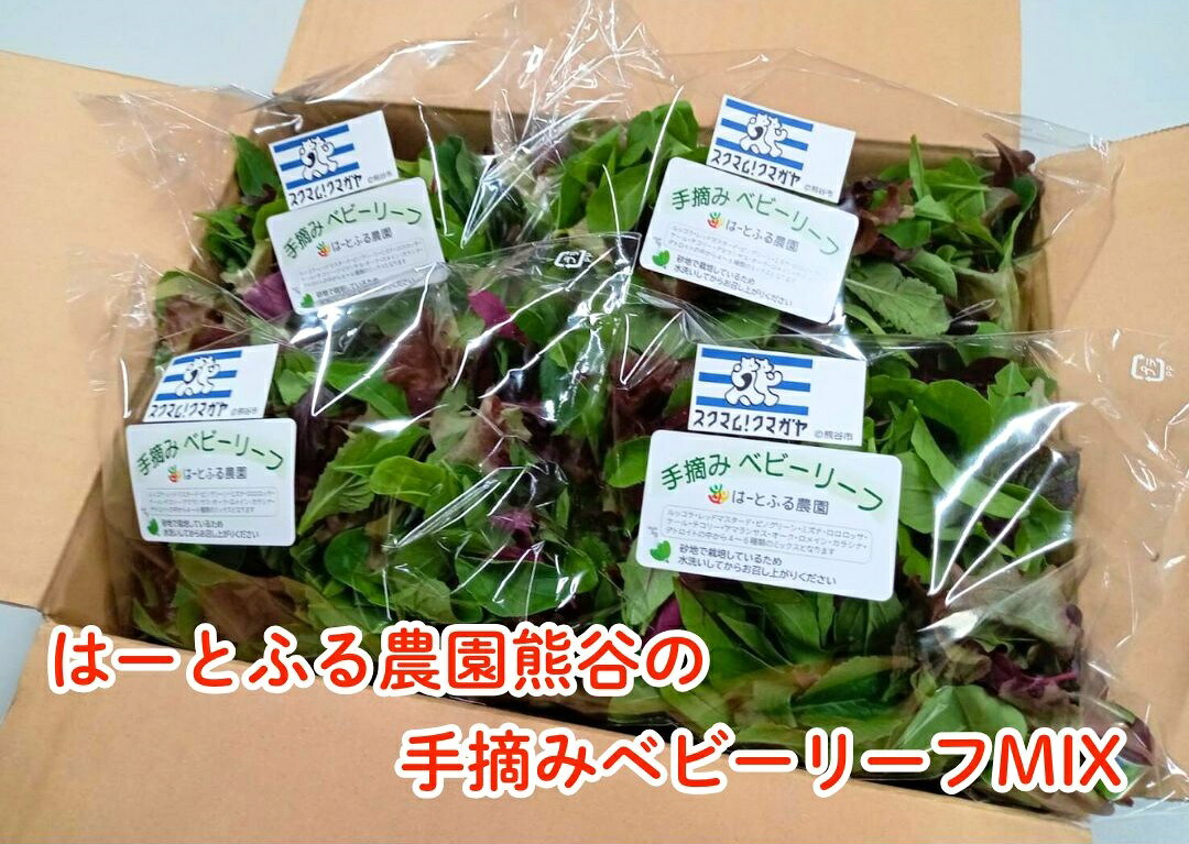 【ふるさと納税】はーとふる農園熊谷　ベビーリーフMIX（50ｇ×10袋）