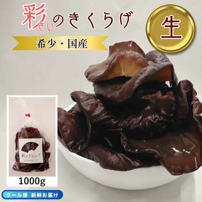 【ふるさと納税】彩のきくらげ　生きくらげ1000g　埼玉県産【配送不可地域：離島】【1692949】｜埼玉県川口市