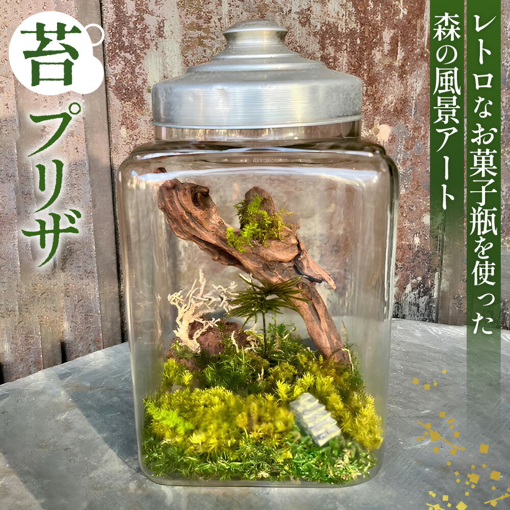 【ふるさと納税】レトロな御菓子瓶を使った森の見晴らし工芸／ 苔 感謝 癒し レトロ 貨物輸送無料 埼玉県 No.356