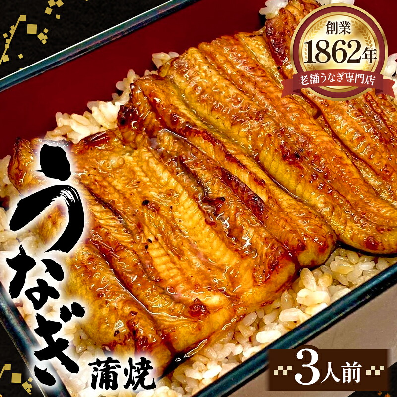 【ふるさと納税】うなぎ蒲焼（真空パック）3人前 ／ うなぎ蒲焼 真空パック 3人前 ふっくら 香ばしい 自宅で簡単 タレ付き お取り寄せ ウナギ ごはんのお供 高級感 皮目香る 鰻 ニホンウナギ 厳選 送料無料 埼玉県 No.413