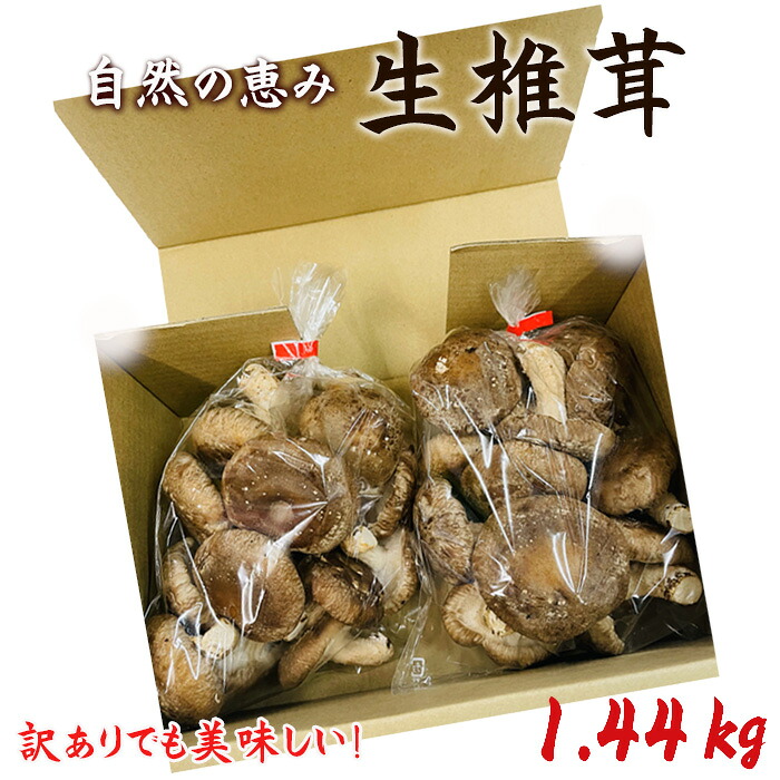 【ふるさと納税】訳ありでも美味しい！自然の恵み生椎茸1.44kg ／ しいたけ 野菜 煮物 鍋 栄養 送料無料 埼玉県 No.468