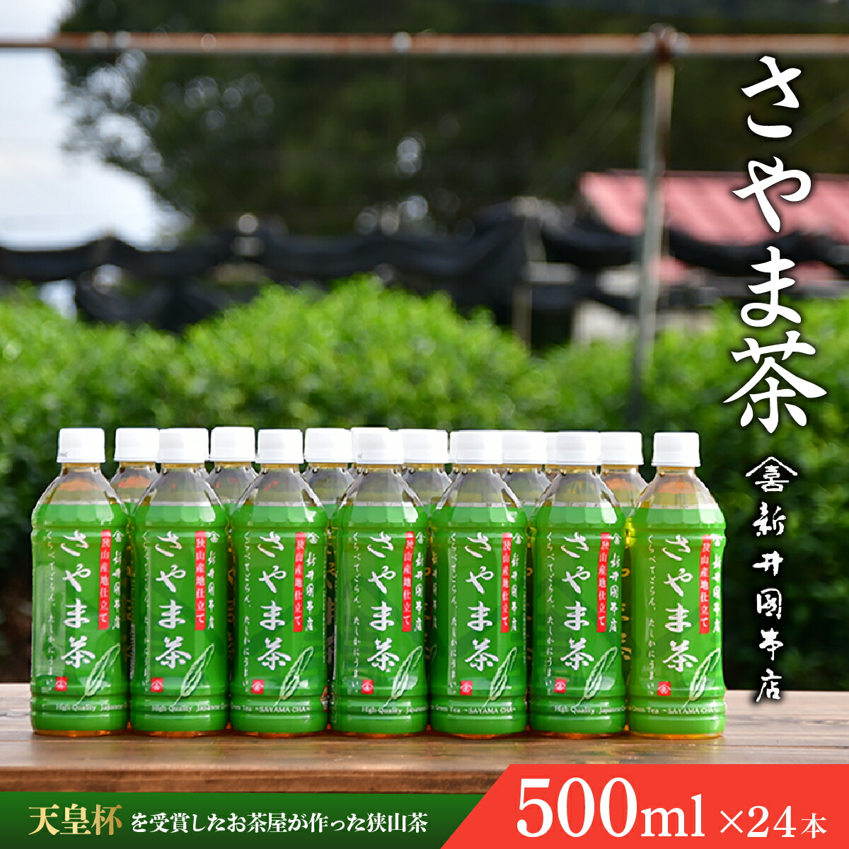 【ふるさと納税】さやま茶ペットボトル 500ml&times;24本 新井園本店 | 茶 お茶 日本茶 緑茶 狭山茶 濃厚 コク 香り 風味 まろやか 美味しい おすすめ ギフト お土産 プレゼント 贈答 埼玉県 所沢市｜埼玉県所沢市