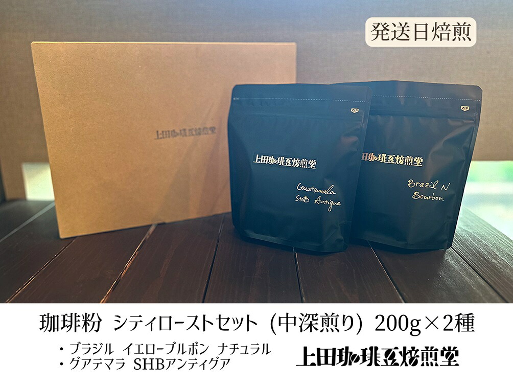 【ふるさと納税】【上田珈琲豆焙煎堂】珈琲豆 中深煎り セット 200g×2種 セット ブラジルブルボン・グアテマラSHB【粉】 お届け:発注から2週間程度 HNNBM008|埼玉県飯能市