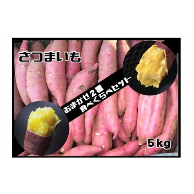 【ふるさと納税】≪飯能産≫さつまいも おまかせ2種食べ比べセット[52210208] 野菜 サツマイモ 　お届け：2024年10月中旬～2025年7月上旬（発注後、1～2週間程度）