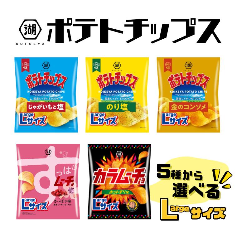 【ふるさと納税】選べる湖池屋のLサイズポテトチップス（全５種）【ポテチ】