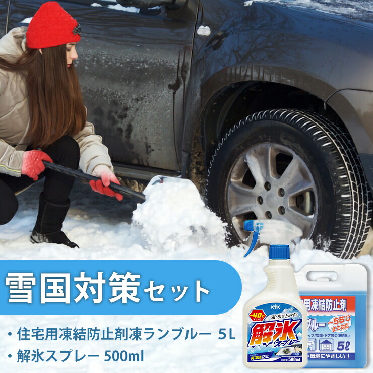 【ふるさと納税】雪国対策セット（住宅用氷結防止剤凍ランブルー５L＆解氷スプレー500ml）【カー用品】 車 自動車 大容量 住宅 窓 凍結 くもり 雪 霜 積雪 カーケア用品 車 自動車 大容量 住宅 窓 凍結 くもり　雪 霜 積雪 セット