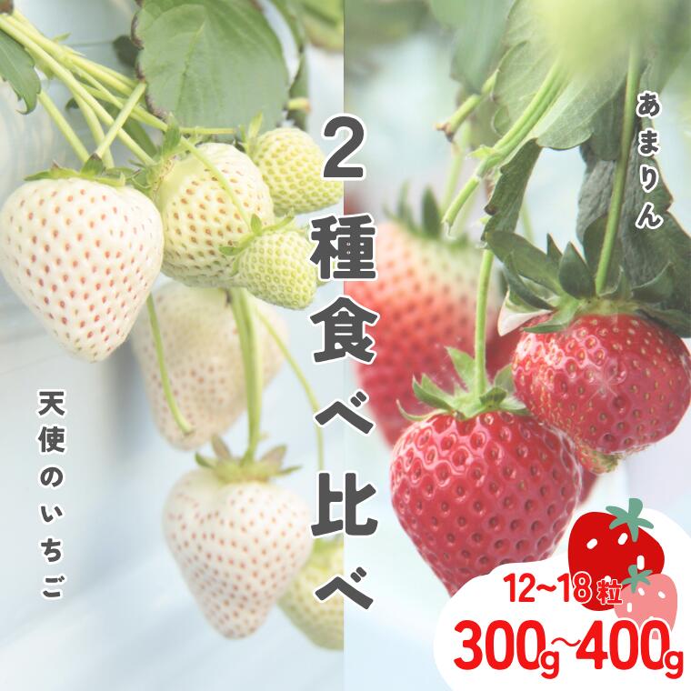 【ふるさと納税】発送1月～【先行受付】紅白いちご　2種食べ比べ　「あまりん」＆「天使のいちご」【苺】 イチゴ おおきい スイーツ あかい 果物 ふるさと納税 いちご うまい フルーツ 期間限定 人気いちご まるい 甘い いちご 旬 直送 おすすめいちご ストロベリー 苺ジャム