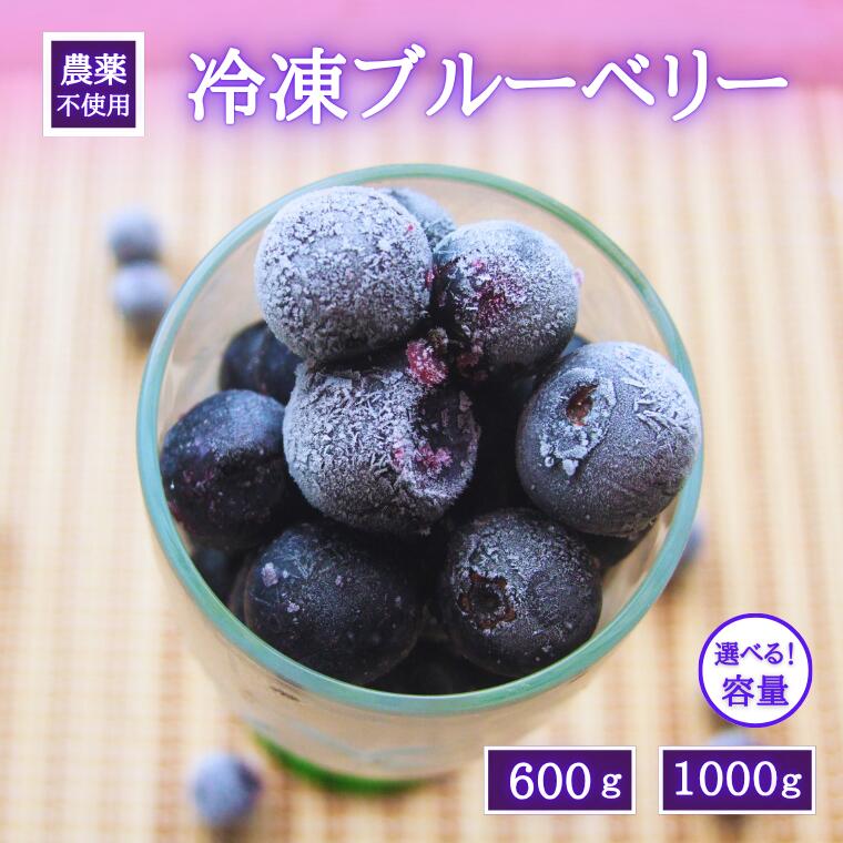 【ふるさと納税】シルクファーム産　冷凍ブルーベリー　600ｇ or 1000ｇ