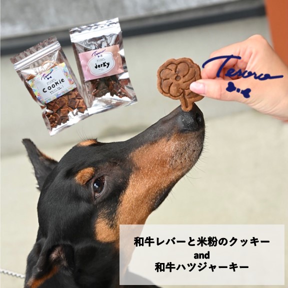 父の日差し上げ物特集
