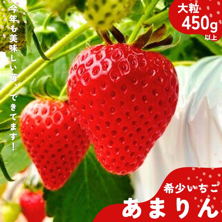 【ふるさと納税】かぞブランド　埼玉生まれの希少いちご『あまりん　大粒』（450ｇ以上）【潰れが気にならない方限定】【苺】 イチゴ おおきい スイーツ あかい 果物 いちご フルーツ 期間限定 人気いちご 甘い いちご 旬 直送 おすすめ いちご ストロベリー 苺ジャム 10,010円