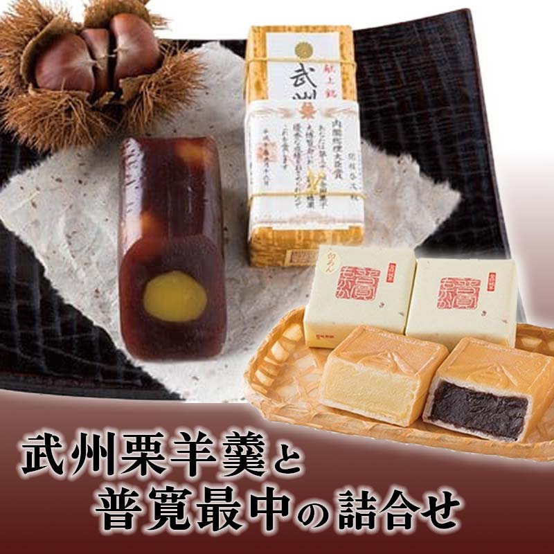 【ふるさと納税】武州栗羊羹と普寛最中の詰合せ ご当地 菓子 銘菓 和菓子 栗 ようかん もなか セット 詰合せ お茶菓子 お茶請け 御菓子司せきね 食品 関東 F5K-537｜埼玉県本庄市