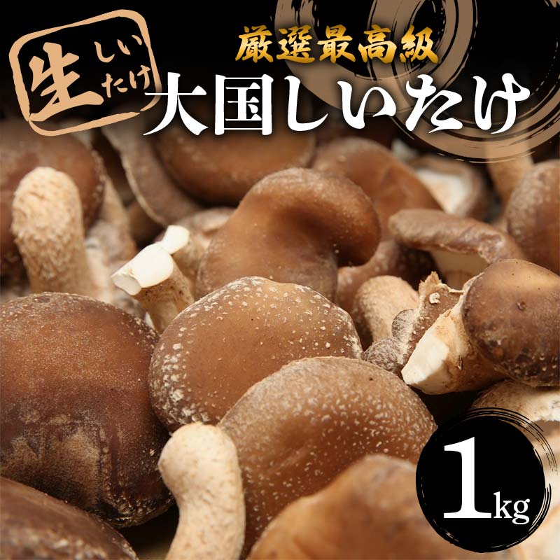 【ふるさと納税】 厳選最高級 生しいたけ『大国しいたけ』 1kg F5K-529
