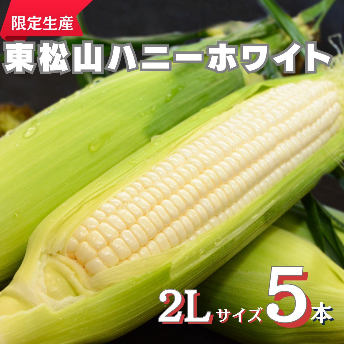 【ふるさと納税】【先行予約】東松山ハニーホワイト 5本 | ハニーホワイト とうもろこし 白とうもろこし トウモロコシ フレッシュ 野菜 甘い 新鮮 栄養 茹で方 サラダ 粒 品種 夏野菜 限定 朝採れ 採れたて 旬の野菜 直送 農家直送人気 期間限定 数量限定 東松山市 埼玉県