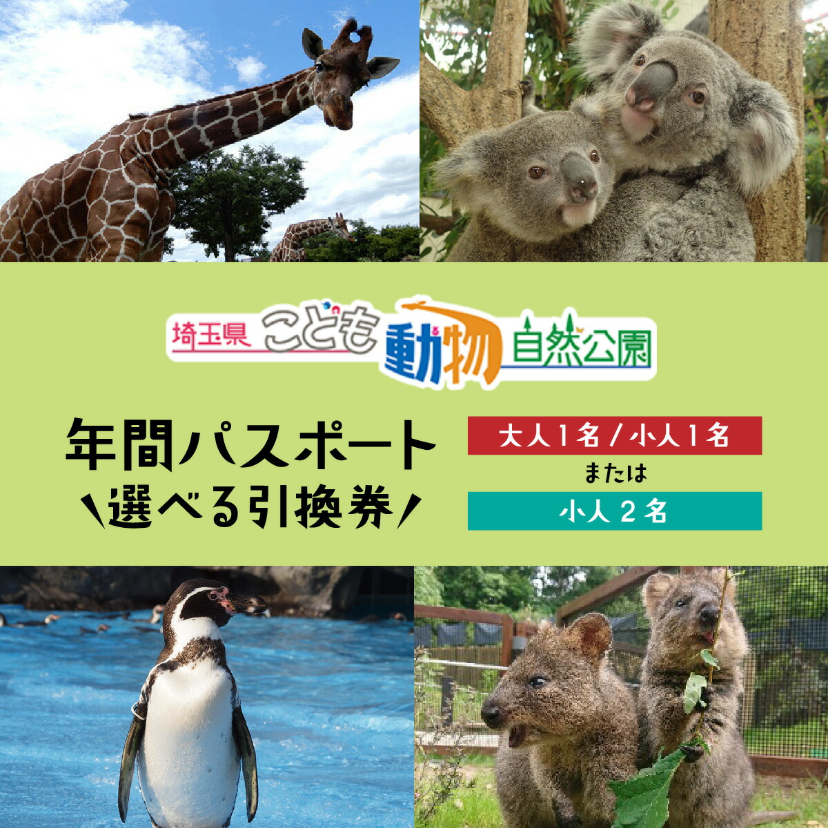 ふるさと納税 静岡県 河津町 イズー カワズー (大人2名・子供1名） 共通入園券 爬虫類 動物園 河津町 観光[No.5227-0390] ふるさと納税 イズー カワズー (大人2名・子供1名） 共通入園券 爬虫類