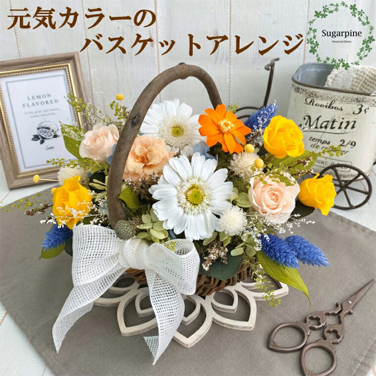 【ふるさと納税】プリザーブドフラワー【ヴィヴィ】　　　　　　　　春日部市 シュガーパイン（AJ205-1） 16,330円