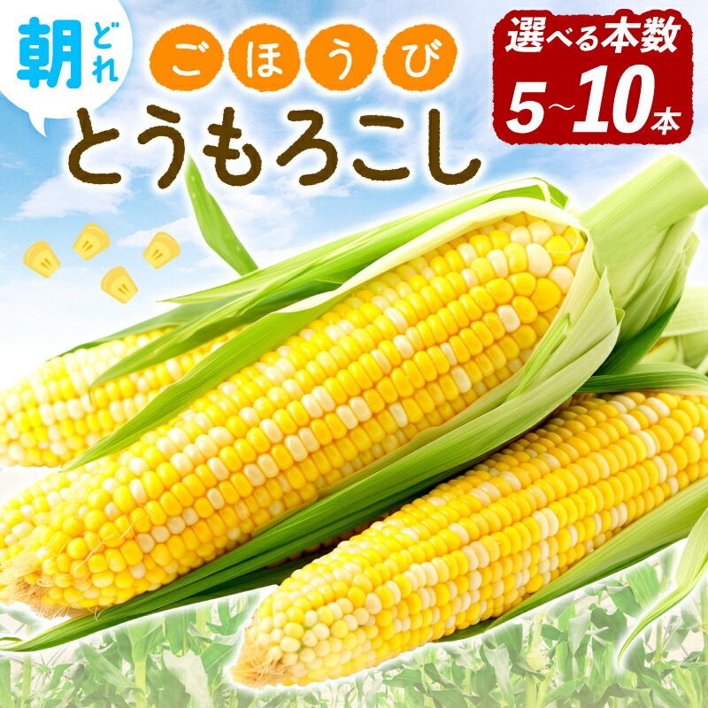 【ふるさと納税】 予約受付 とうもろこし 選べる 容量 5本 10本 トウモロコシ 先行予約 朝どれ 新鮮 野菜 産地直送 国産 とれたて ごほうびとうもろこし 冷蔵 送料無料 株式会社風の子ファーム 埼玉県 羽生市
