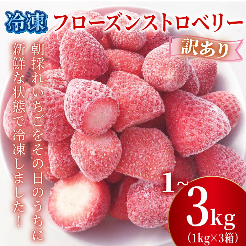 【ふるさと納税】 訳あり 冷凍 いちご 1kg 2kg 3kg 選べる容量 フローズン ストロベリー 産地直送 ご当地 苺 果物 くだもの フルーツ デザート よつぼし 紅ほっぺ かおり野 恋みのり おいCベリー 食品 げんき農場 埼玉県 羽生市
