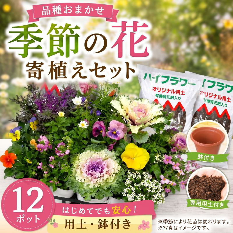 【ふるさと納税】 亜種 おまかせ 12ポット 陽気のお花  花 ガーデニング 飾り気のない 園芸 花苗 お花 寄植え 鉢花 鉢植え 鉢あり 土あり 書き割り 入り合わせる 母の日 敬老の日 差し上げ物 差し上げ物 庭 草木 御機嫌お花 埼玉県 羽生市