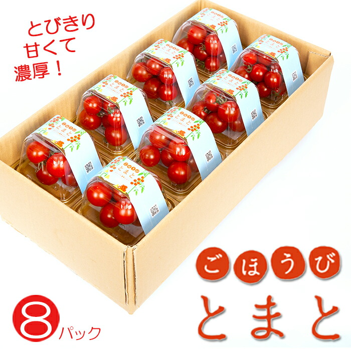 【ふるさと納税】 トマト 高糖度 甘い 8パック 小分け フルーツトマト ミニトマト 野菜 果物 産地直送 とれたて 濃厚 アンチエイジング 生活習慣病予防 ごほうびとまと 株式会社風の子ファーム 埼玉県 羽生市