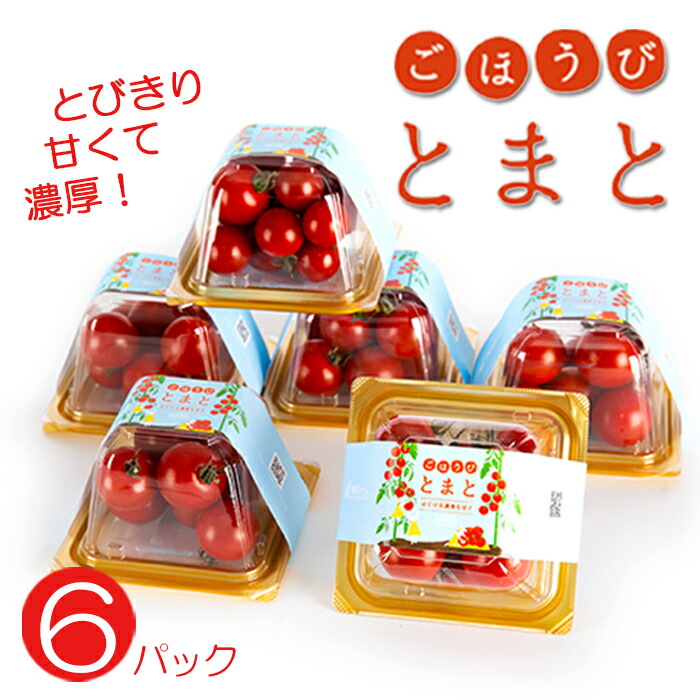 【ふるさと納税】 トマト 高糖度 甘い 6パック 小分け フルーツトマト ミニトマト 野菜 果物 産地直送 とれたて 濃厚 アンチエイジング 生活習慣病予防 ごほうびとまと 株式会社風の子ファーム 埼玉県 羽生市