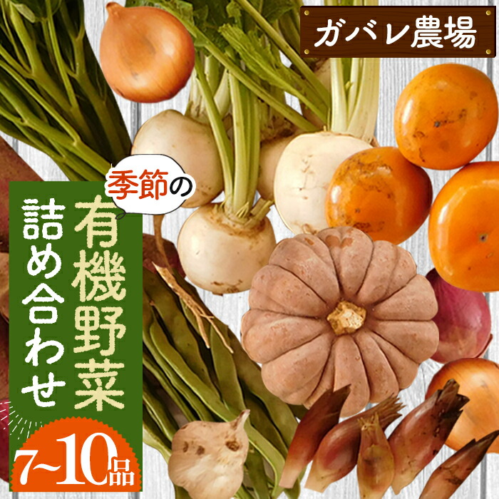 【ふるさと納税】ガバレ農場の季節の有機野菜詰め合わせセット［No.058］