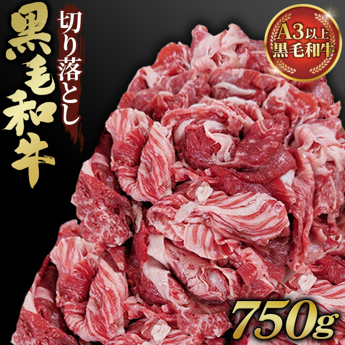 【ふるさと納税】黒毛和牛切り落とし250g×3パック 合計750g［No.430］ 8,760円