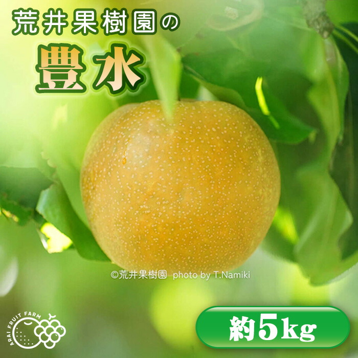 【ふるさと納税】【先行予約】荒井果樹園の豊水　約5kg［No.526］