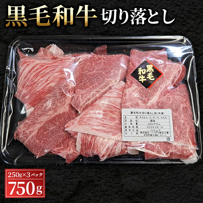 【ふるさと納税】No.430 黒毛和牛切り落とし250g×3パック（合計750g） ／ 切落とし 黒毛和牛 和牛 牛 牛肉 肉 グルメ A3以上 和牛専門問屋 すき焼き 水炊き 炒め物 丼もの しぐれ煮 送料無料 埼玉県画像