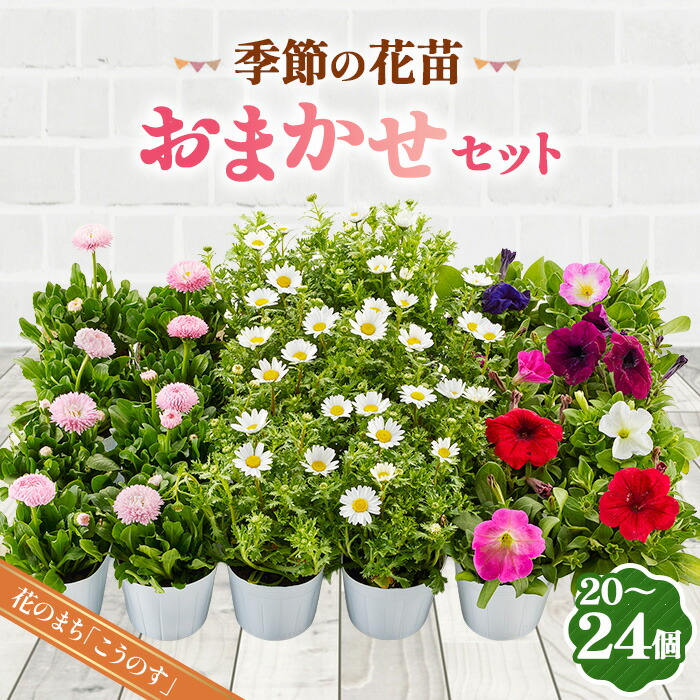 【ふるさと納税】時期の花苗おまかせ書き割り 20～24ポットをお届け 貨物輸送無料［No.043］