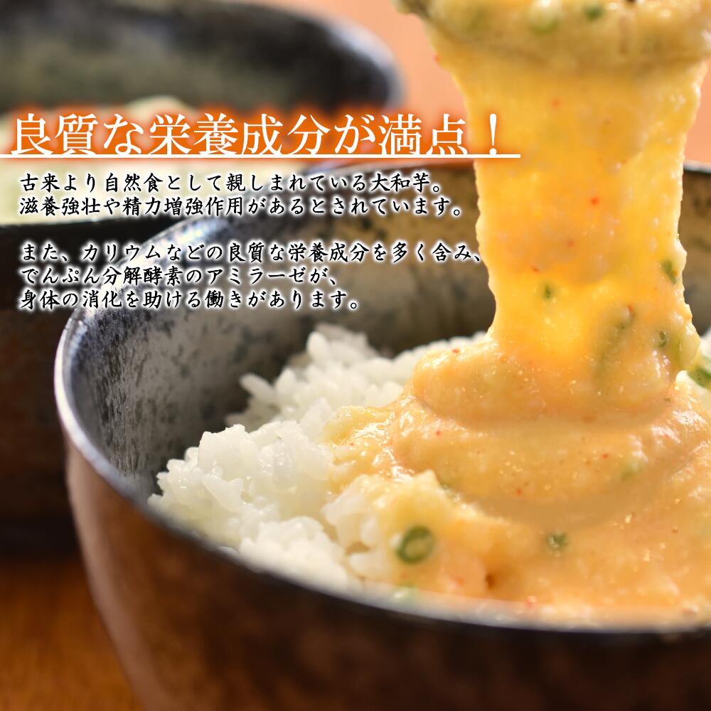 ふるさと納税 冷凍大和芋とろろセット800g 0474 とろろ 大和芋 40g 袋