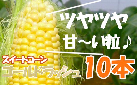 【ふるさと納税】＜先行予約＞【6・7月出荷】農家直送！　スイートコーン（ゴールドラッシュ）箱詰め　【11218-0293】 とうもろこし トウモロコシ ゴールドラッシュ 朝採れ 甘い 高糖度 夏野菜 野菜 ギフト お中元 コーン 六次産業協同組合 農業王国ふかや 深谷 深谷市